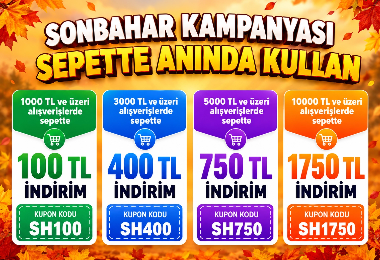 Sonbahar Kampanyası